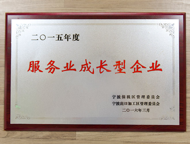 服务业成长型企业