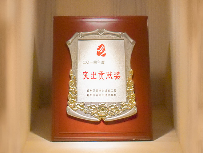 2014年度突出贡献奖